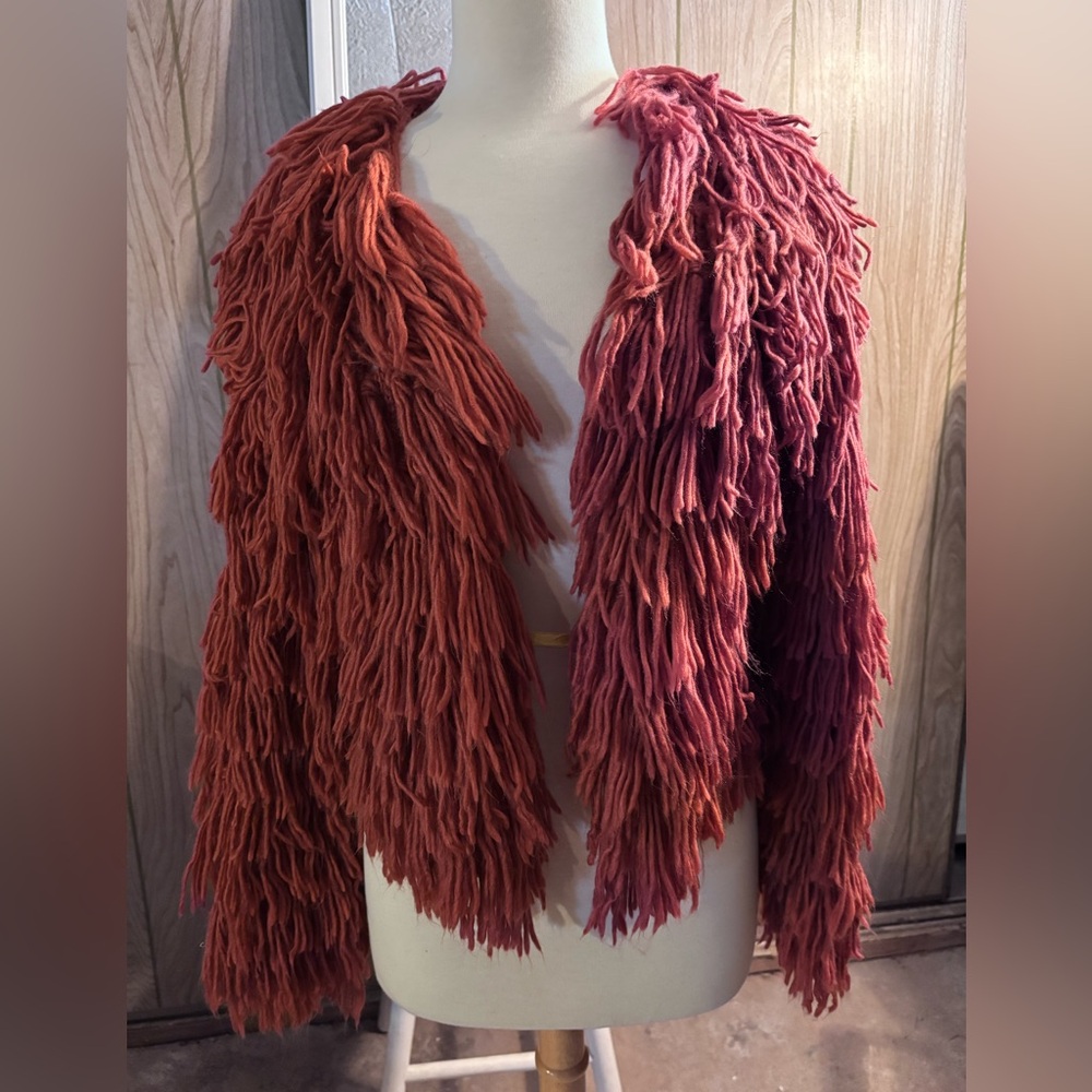 Ou Shaggy Fringe Sweater in Rust/Burnt Orange
